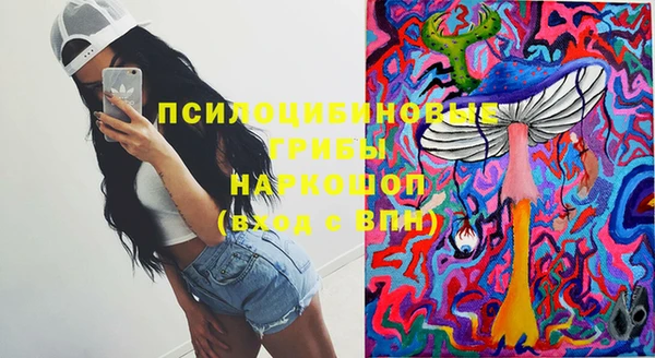 МДПВ Новодвинск