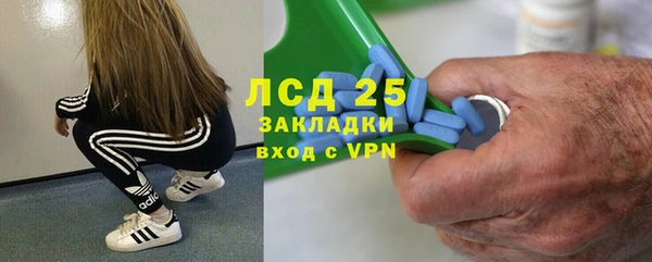 Альфа ПВП Новозыбков