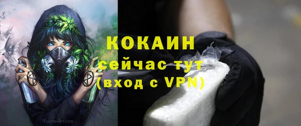 Альфа ПВП Новозыбков