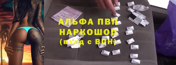Альфа ПВП Новозыбков