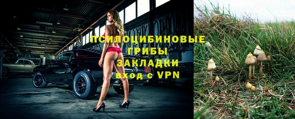 Альфа ПВП Новозыбков