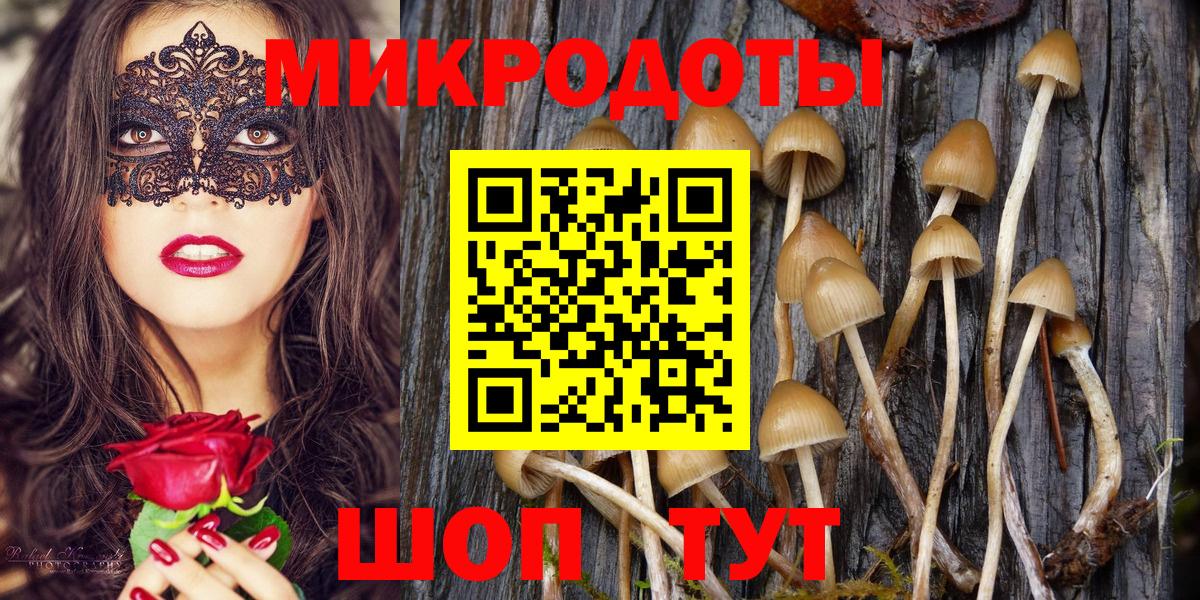 Улан-Удэ  Псилоцибиновые грибы мухоморы  Вход с VPN 